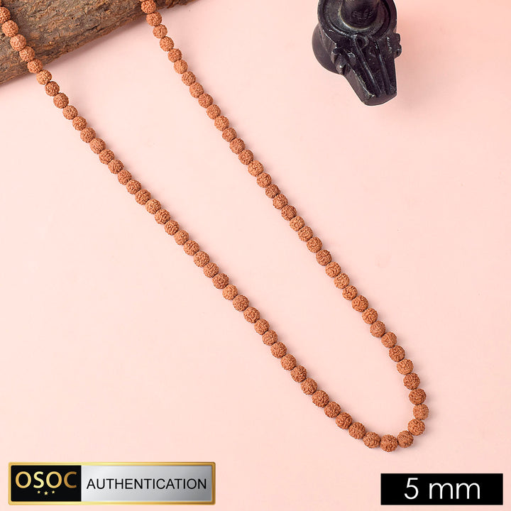 108 Beads Pathariya Rudraksh Mala for Japa and Spiritual Protection. India’s Premium Rudraksha Jap Mala Store- www.satvikworld.com