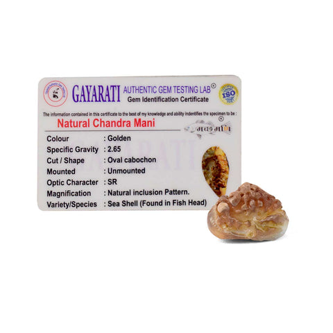 Certified Chander Mani Machmai in a premium golden finish, symbolizing purity and divine blessings. Traditionally used in sacred rituals to attract positive energy and spiritual protection. An authentic piece from India’s Largest Pooja Accessories Brand – www.satvikworld.com.