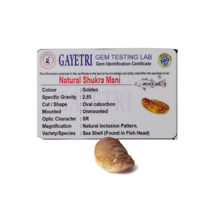 Golden Shukra Mani (Machh Mani) placed on a silver cloth with pooja items, used in rituals for Venus blessings, love, and prosperity. India’s Largest Pooja Accessories Brand - www.satvikworld.com