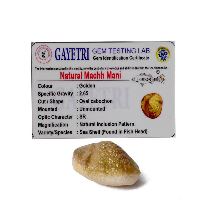 Natural golden Machh Mani spiritual stone in polished finish, placed on decorative altar setup for pooja and astrological remedies. India’s Largest Pooja Accessories Brand - www.satvikworld.com