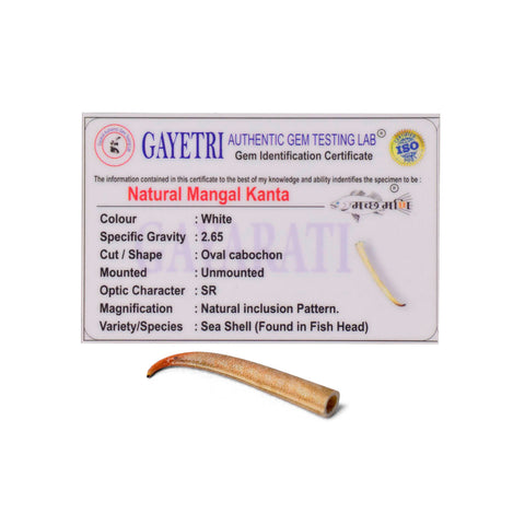 Polished small Mangal Mani stone (Mangal Kata) in reddish-brown color, placed on a brass pooja thali for astrological and spiritual rituals. India’s Largest Pooja Accessories Brand - www.satvikworld.com