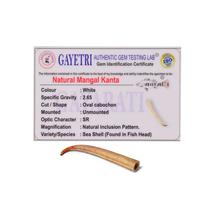 Polished small Mangal Mani stone (Mangal Kata) in reddish-brown color, placed on a brass pooja thali for astrological and spiritual rituals. India’s Largest Pooja Accessories Brand - www.satvikworld.com