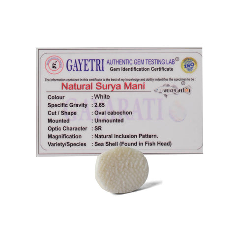White Surya Mani (Machh Mani) stone placed on a red pooja cloth with diya and sacred items, used for Surya sadhana and spiritual strength. India’s Largest Pooja Accessories Brand - www.satvikworld.com