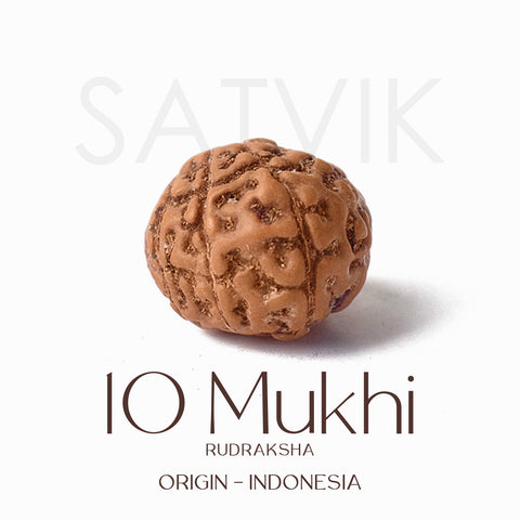 Certified 10 Mukhi brown Rudraksha bead from Indo origin placed on red cloth for spiritual protection, healing, and divine blessings. India’s Largest Pooja Accessories Brand - www.satvikworld.com