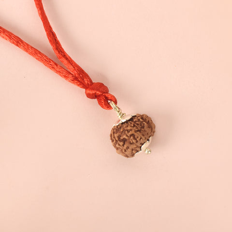 Certified 13 Mukhi Rudraksha Pendant for prosperity, confidence and spiritual power. India’s Premium Rudraksha Jap Mala Store- www.satvikworld.com