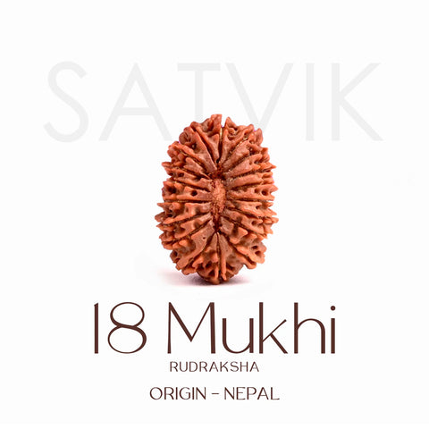 Certified 18 Mukhi Rudraksha Bead – Original Natural Rudraksha for Wealth, Health, and Spiritual Growth. India’s Largest Brass Idols Brand - www.satvikworld.com