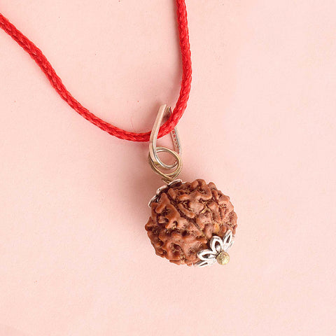 Certified 6 Mukhi Rudraksha Pendant with metal cap for wisdom, energy, and success. India’s Premium Rudraksha Jap Mala Store- www.satvikworld.com