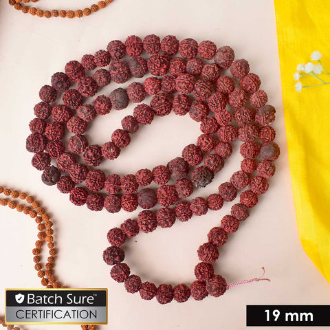 Morangi Aghori Rudraksha Mala made with rare red beads used for deep sadhana and spiritual rituals. India’s Premium Rudraksha Jap Mala Store- www.satvikworld.com

