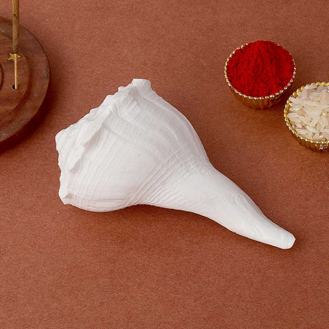 Original Dakshinavarti Shankh 10–11 cm Right Spiral Conch Shell for Pooja and Vastu. India’s Largest Pooja Accessories Brand - www.satvikworld.com