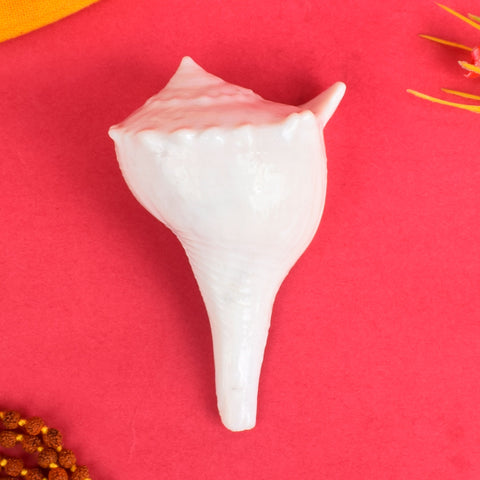 Regular Dakshinavarti Shankh (Conch Shell) used for daily pooja rituals, symbolizing prosperity and positive energy, placed on a decorative brass stand for spiritual and traditional worship purposes. India’s Largest Pooja Accessories Brand - www.satvikworld.com